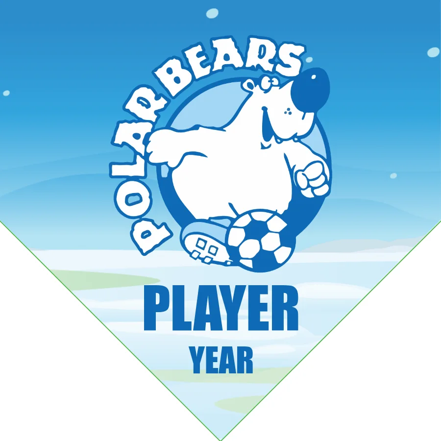 Polar Bears Soccer Banner-banner-soccer-image