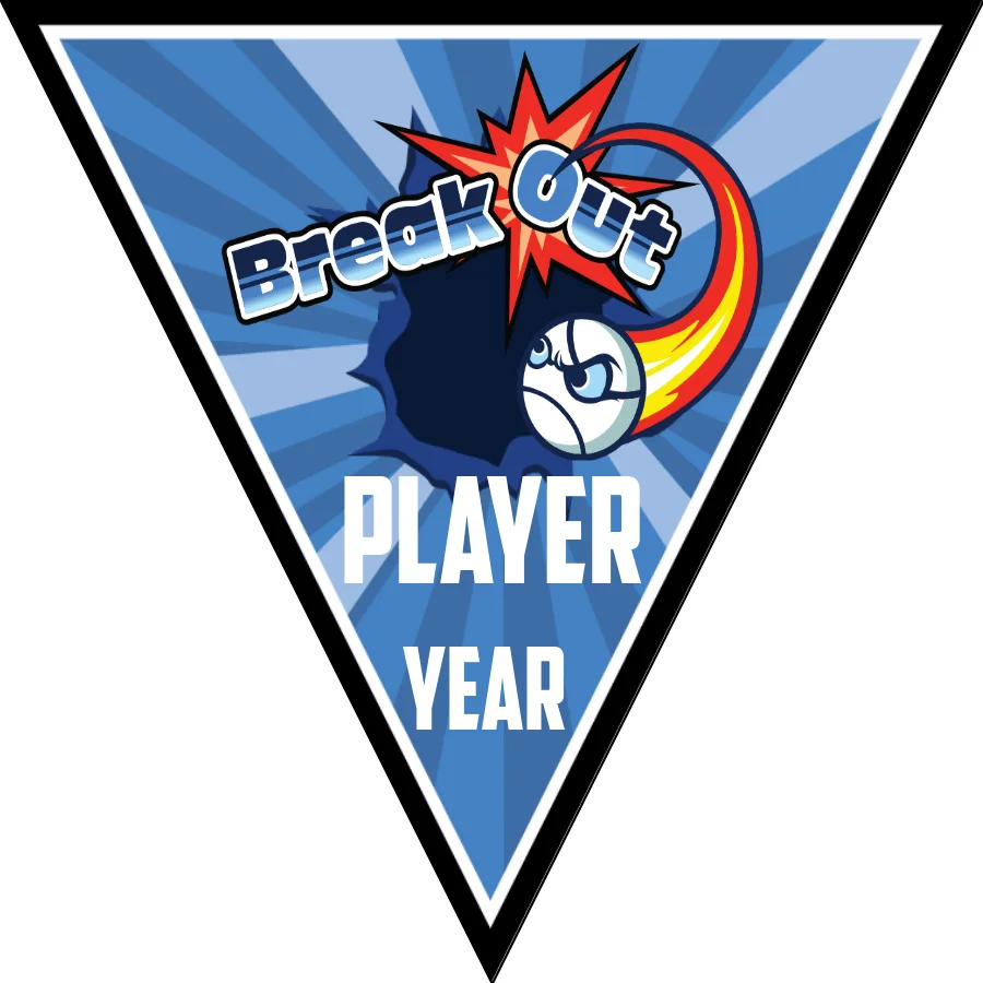 Breakout-blue-white-triangle-softball-banner-templates-images