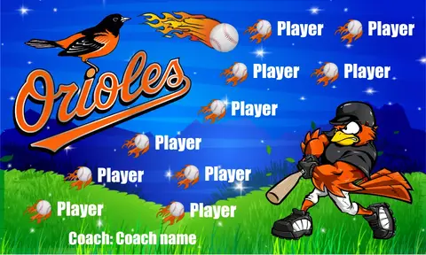 Orioles 2 Baseball Banner-custom-softball-team-banners-picture