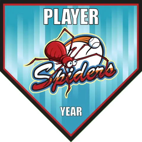 Spiders-blue-bg-home-softball-banner-ideas-picture