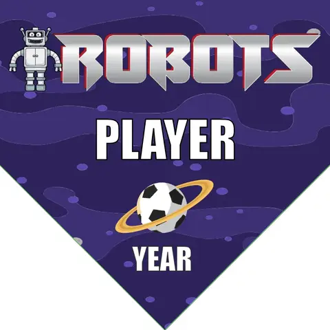 Robots 2 Soccer Banner-soccer-team-banner-picture