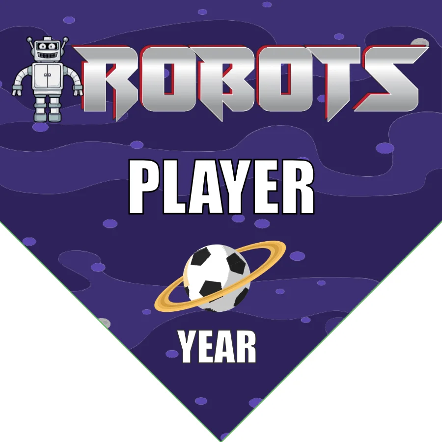 Robots 2 Soccer Banner-soccer-team-banner-picture