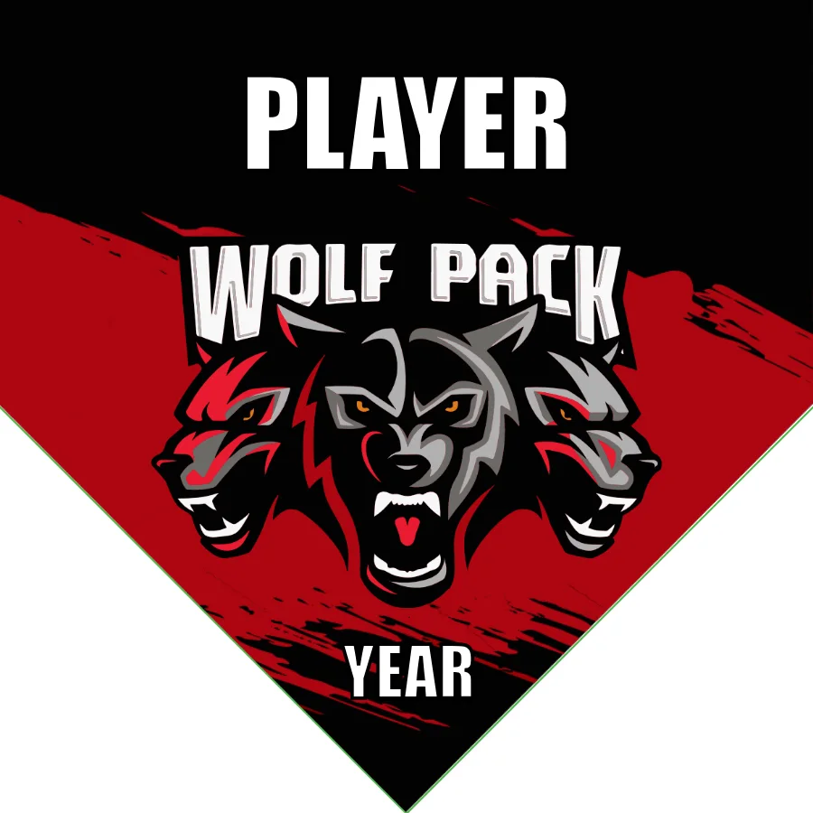Wolf Pack Soccer Banner-soccer-banner-stand-picture
