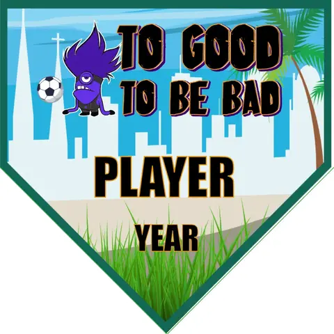 Too Good to be Bad 3 Soccer Banner-soccer-team-banner-ideas-picture