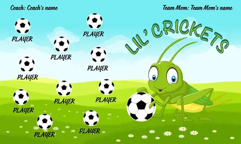 Crickets Soccer Banner-soccer-banners-sacramento-picture	
