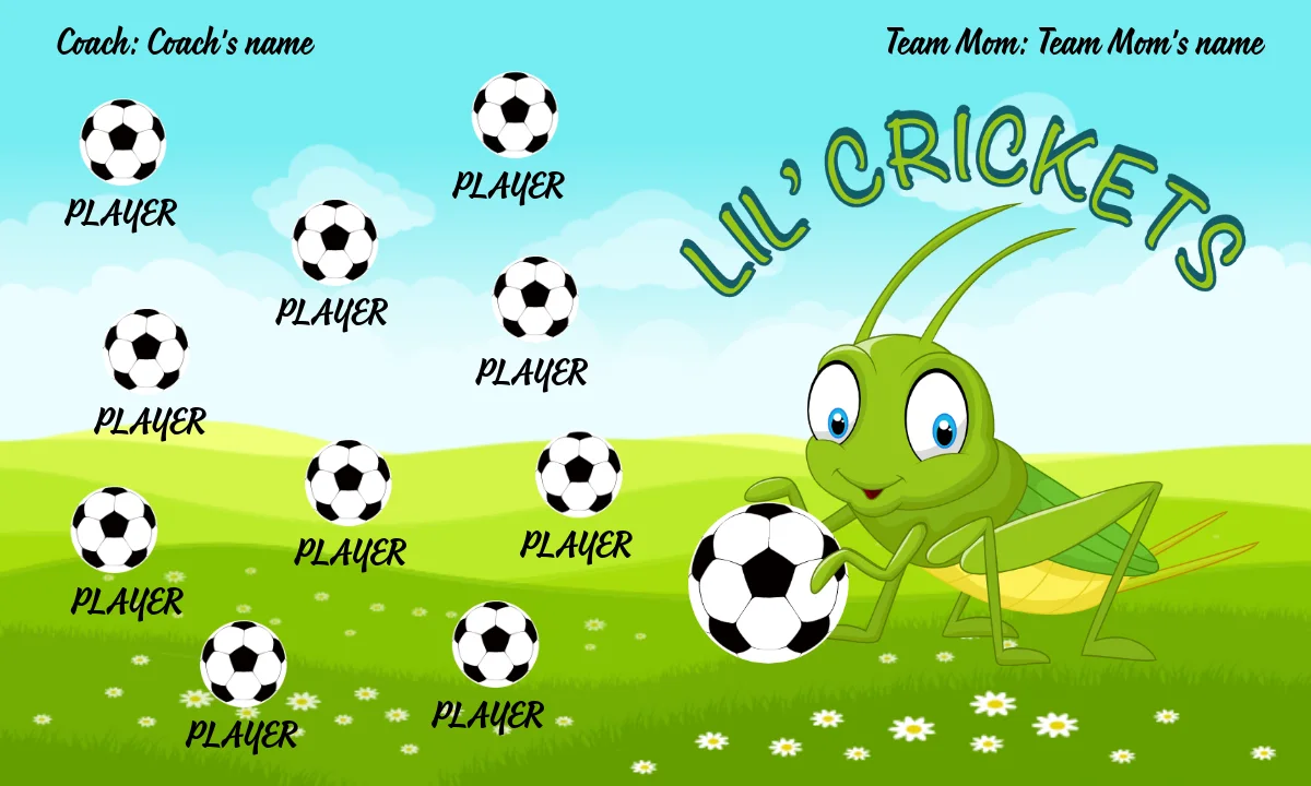 Crickets Soccer Banner-soccer-banners-sacramento-picture