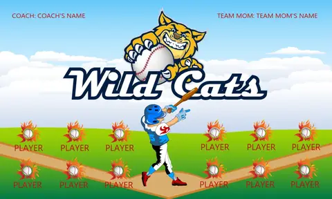Wild Cats 1 Softball Banner-handmade-softball-banners-picture