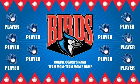 Birds 2 Softball Banner