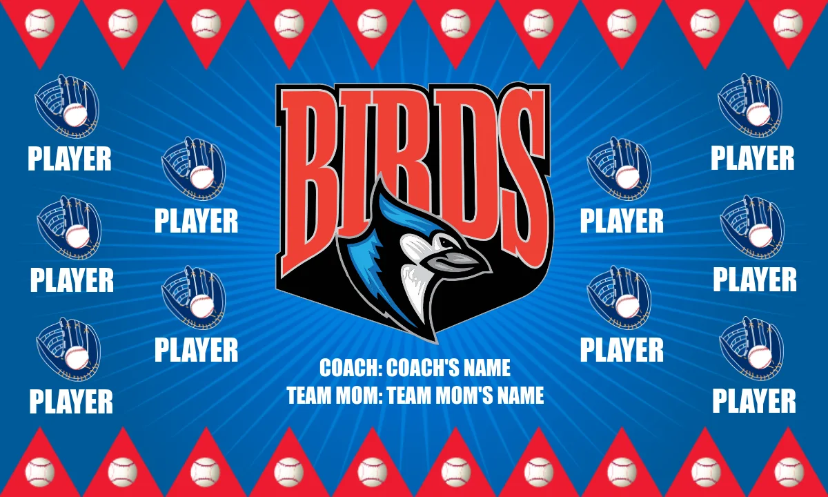 Birds 2 Softball Banner