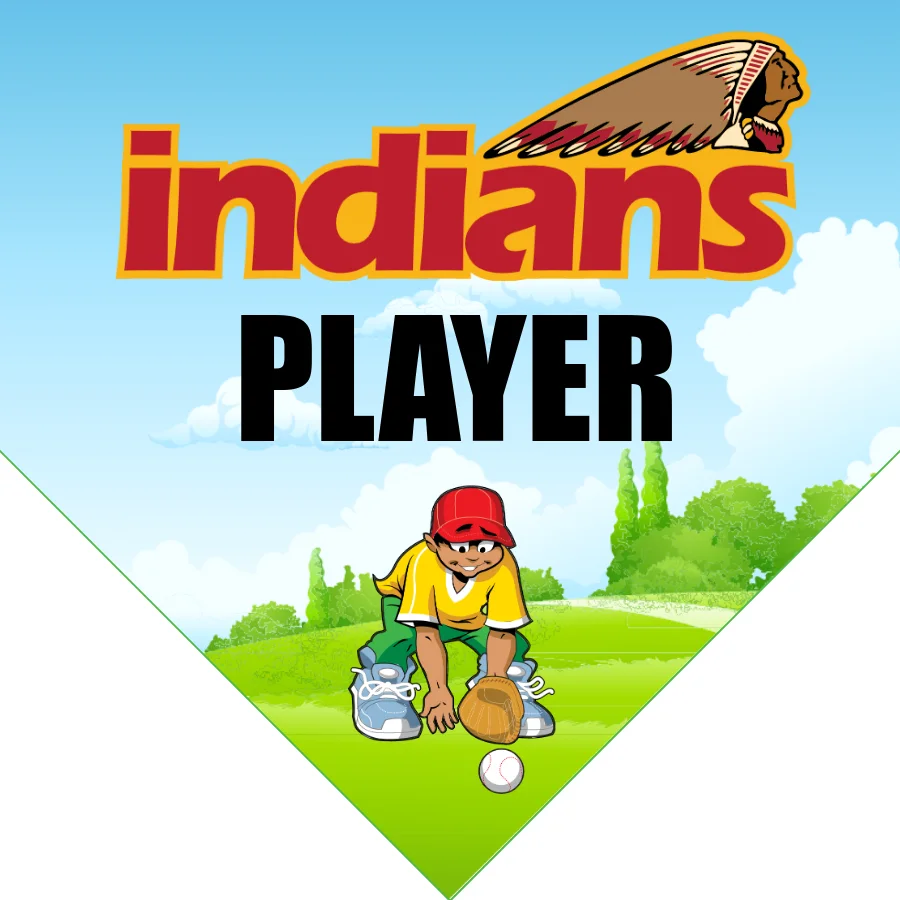 Indians 1 Softball Banner-homemade-softball-banner-images