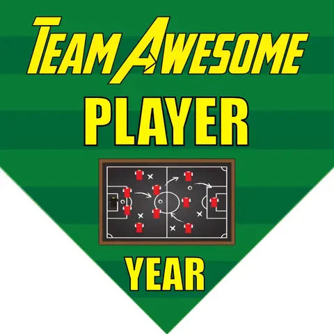 Team Awesome Soccer Banner-soccer-banners-san-diego-picture