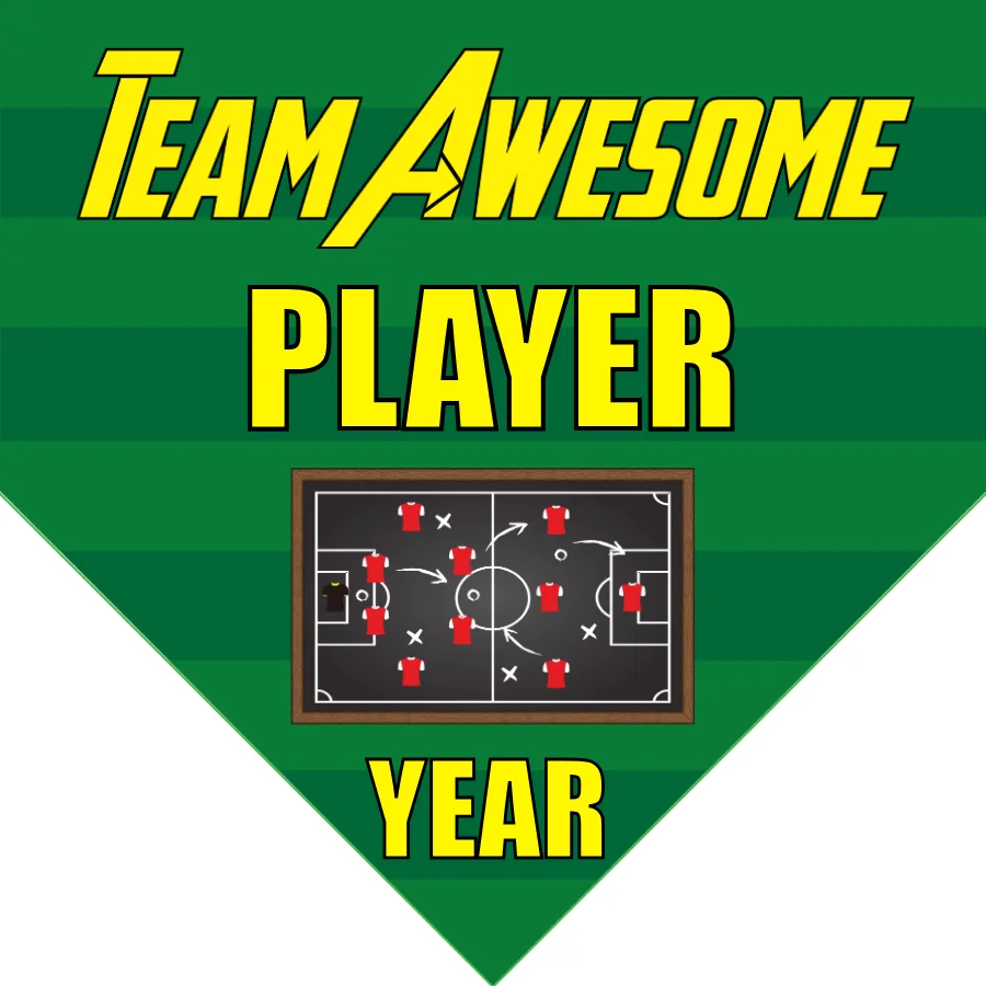 Team Awesome Soccer Banner-soccer-banners-san-diego-picture