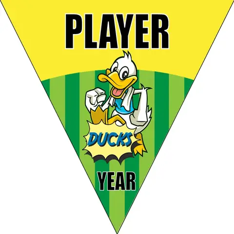 Duck 02 Soccer Banner-soccer-party-banner-picture