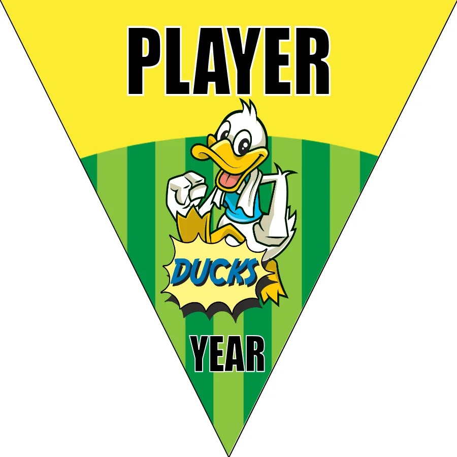 Duck 02 Soccer Banner-soccer-party-banner-picture