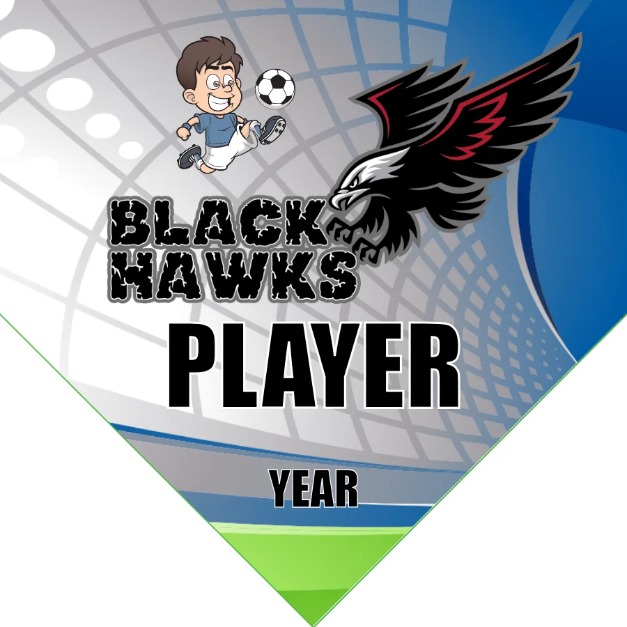 Blackhawk Soccer Banner-soccer-team-banners-ayso-picture