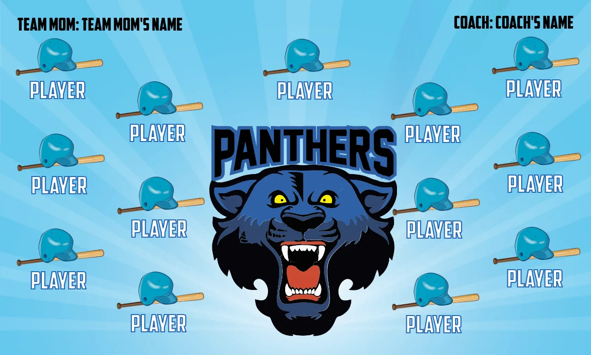 Panthers Softball Banner