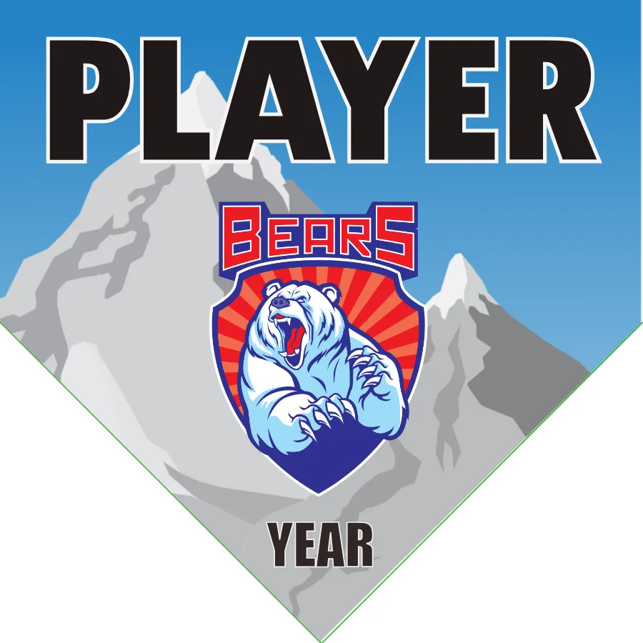 Bears Softball Banner-all-star-softball-banners-images