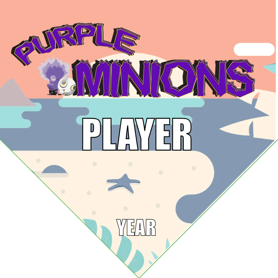 Minions Purple Soccer Banner-soccer-team-banners-picture