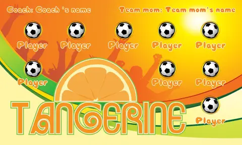 Tangerine Soccer Banner-soccer-banners-ideas-picture