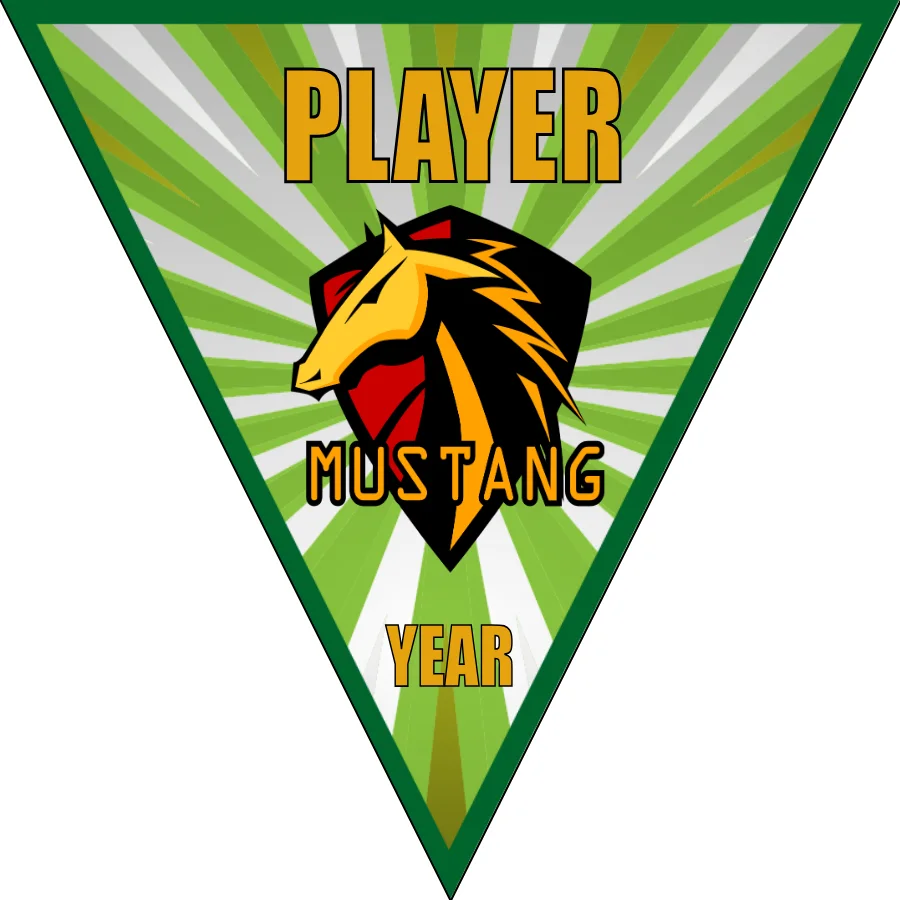 Mustang Soccer Banner-soccer-ball-banner-picture