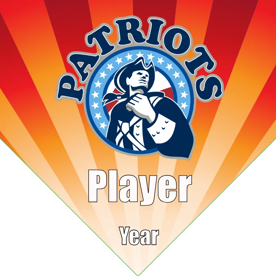 Patriots Soccer Banner-soccer-banner-size-picture