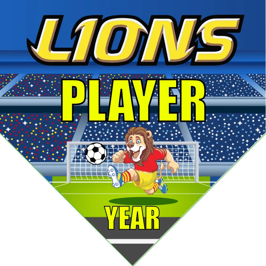 Lions Soccer Banner-banners-for-soccer-team-picture