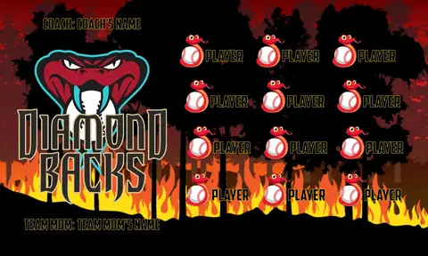 Arizona Diamondbacks 2 Baseball Banner-baseball-banners-little-league-images