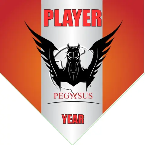 Pegasus Soccer Banner-soccer-banner-stand-pvc-picture