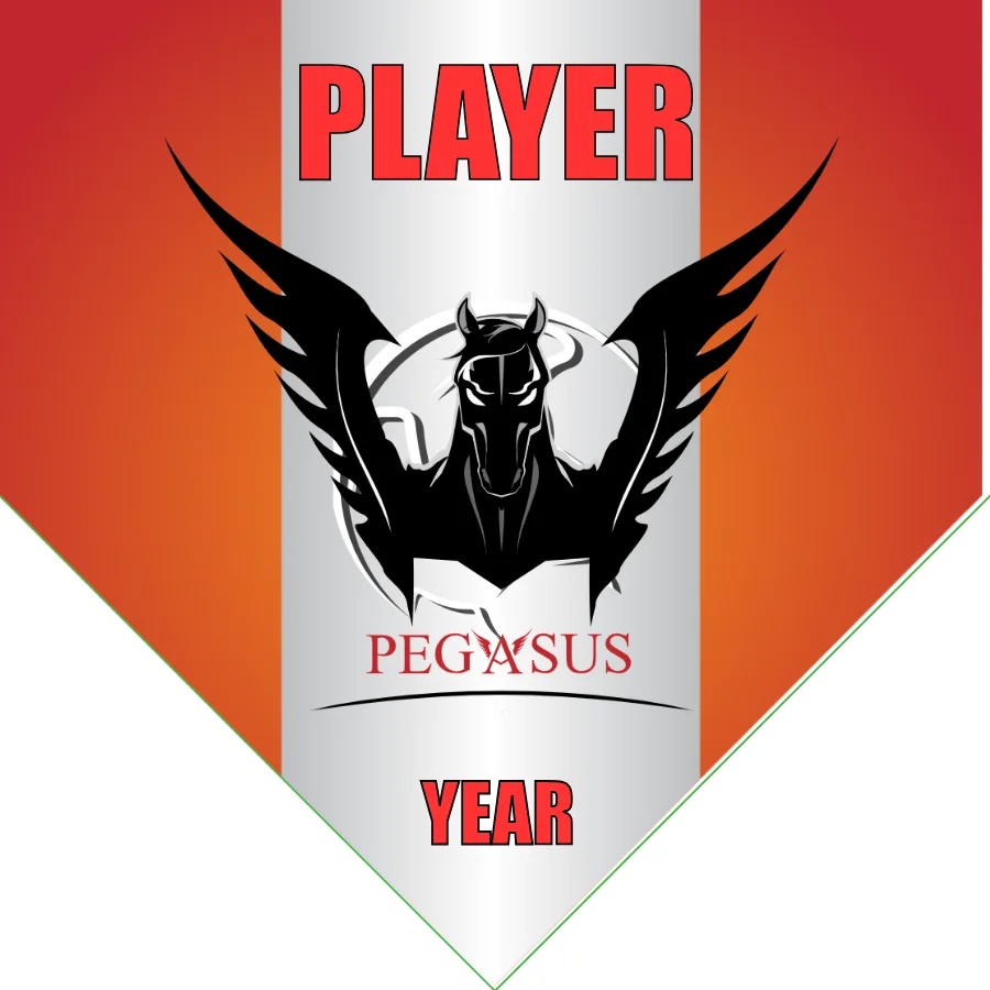 Pegasus Soccer Banner-soccer-banner-stand-pvc-picture