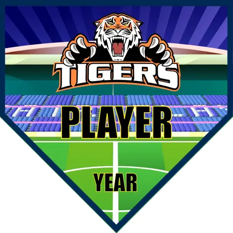 Tigers Soccer Banner-nike-soccer-banner-picture