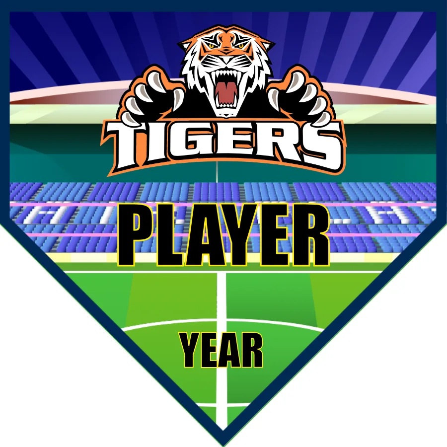 Tigers Soccer Banner-nike-soccer-banner-picture