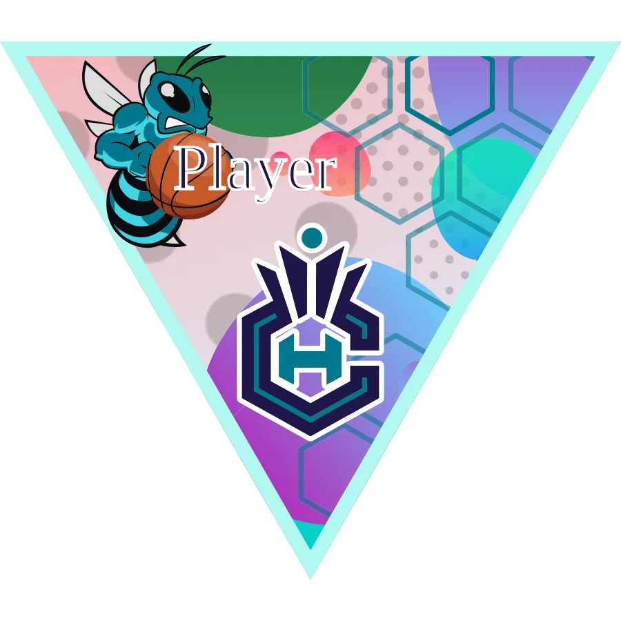 Charlotte Hornets 2 Basketball Banner