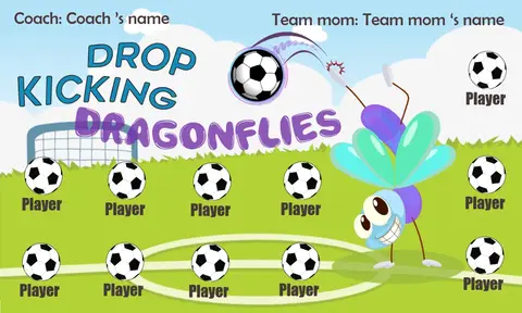 Dragonflies Drop Kicking Soccer Bannersoccer-banner-templates