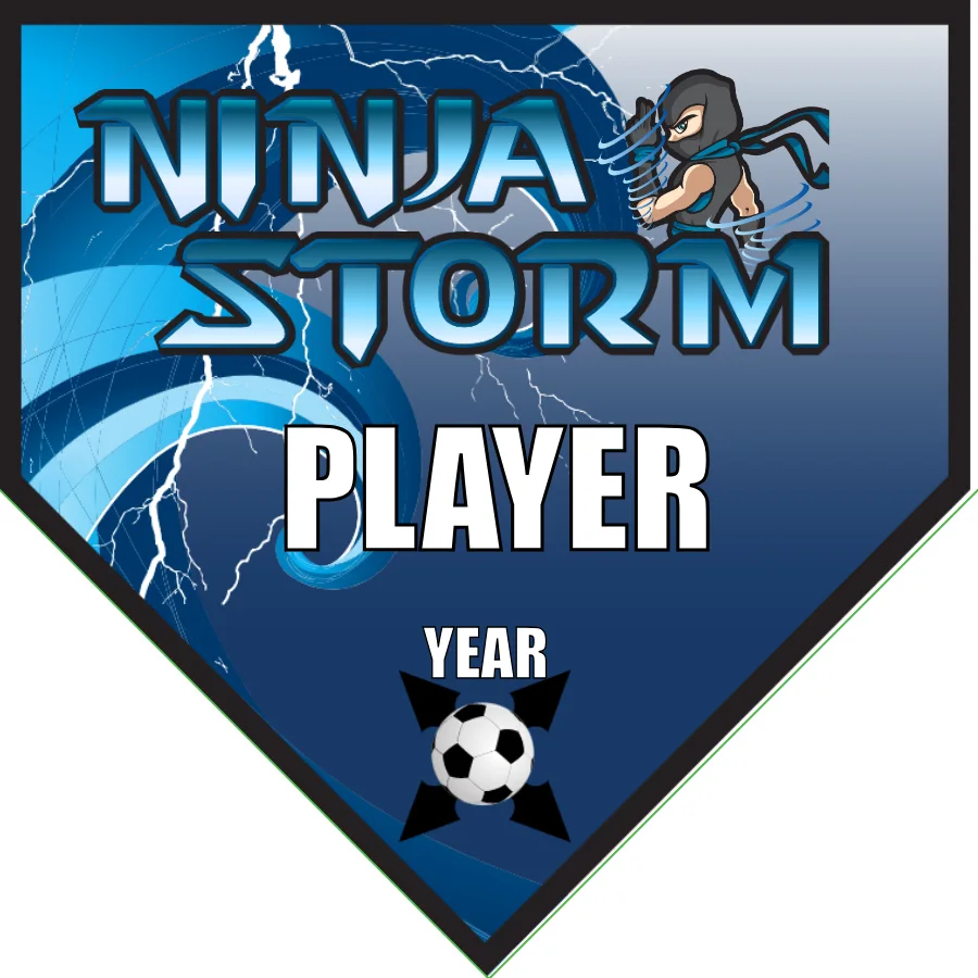 Ninja Storm 3 Soccer Banner-soccer-team-banner-picture