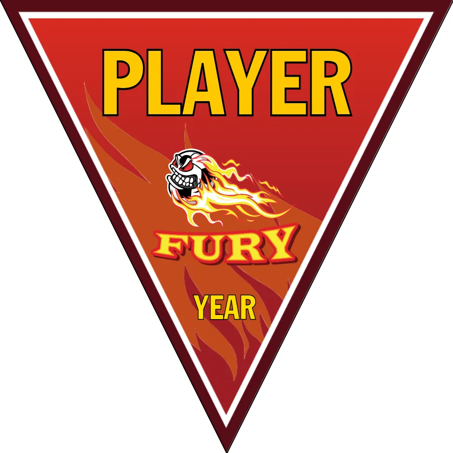 Fury Soccer Banner-pinterest-soccer-banner-picture