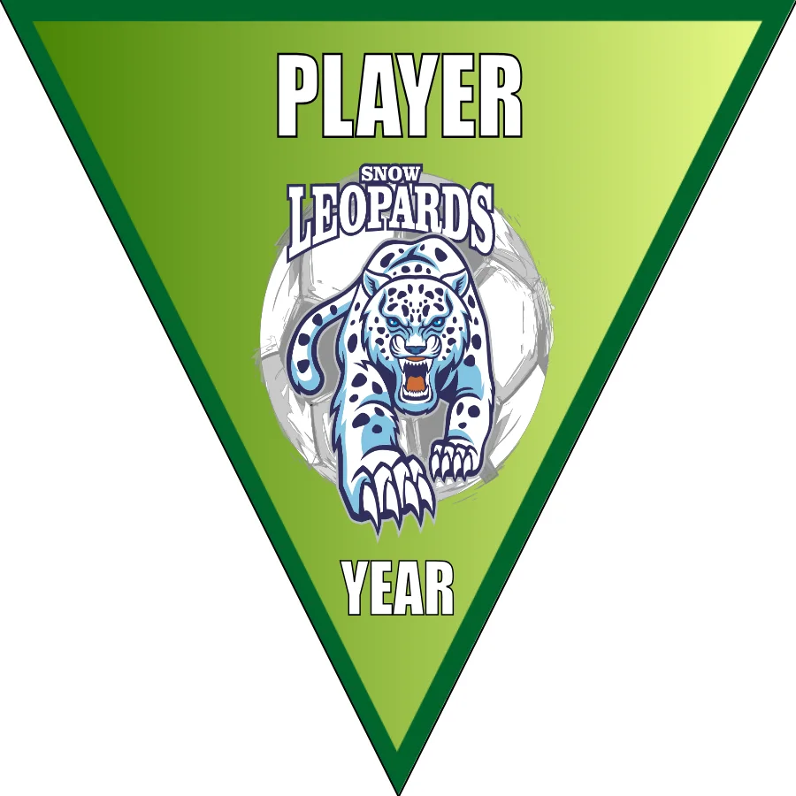 Leopards 2 Soccer Banner-youth-soccer-banners-picture