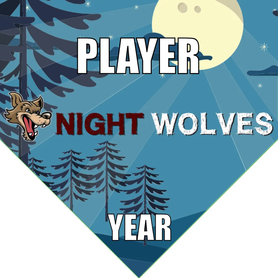 Night Wolves 3 Soccer Banner-soccer-team-banner-picture