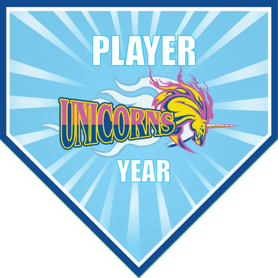 Unicorns 1 Soccer Banner-soccer-banner-picture