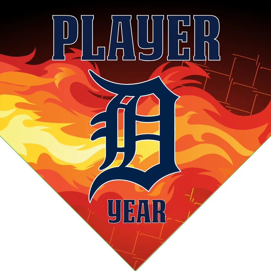Detroit Tigers Baseball Banner-baseball-banner-slogans-images