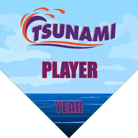 Tsunami 2 Soccer Banner