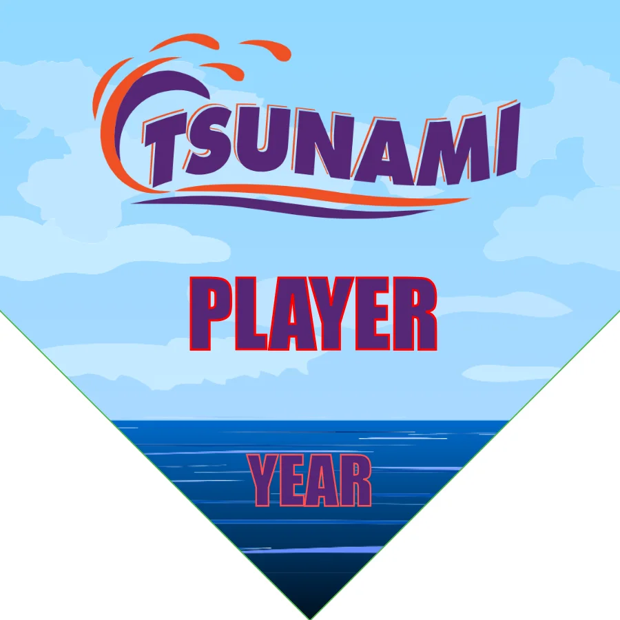 Tsunami 2 Soccer Banner