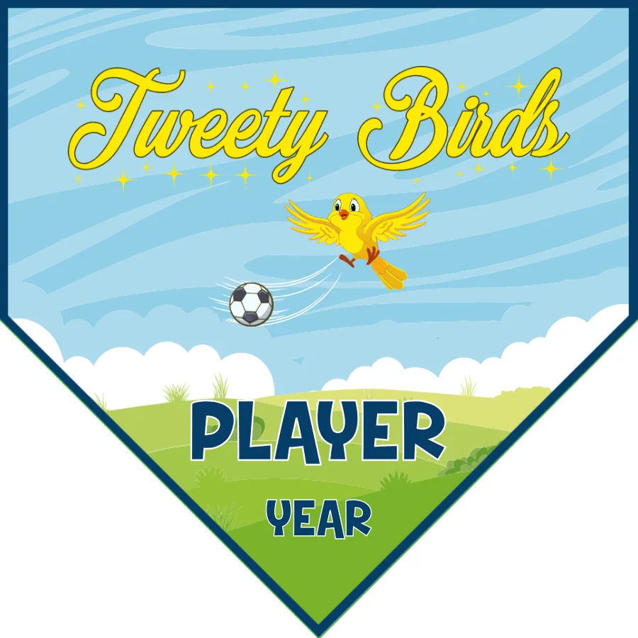 Tweety Birds Soccer Banner-soccer-banners-ayso-picture