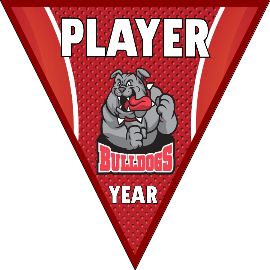 Bulldogs 2 Soccer Banner-soccer-birthday-party-banner-picture