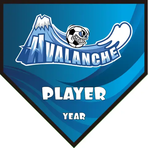 Avalanche Soccer Banner-soccer-banners-ayso-picture