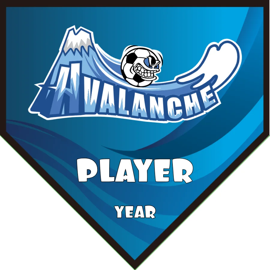 Avalanche Soccer Banner-soccer-banners-ayso-picture