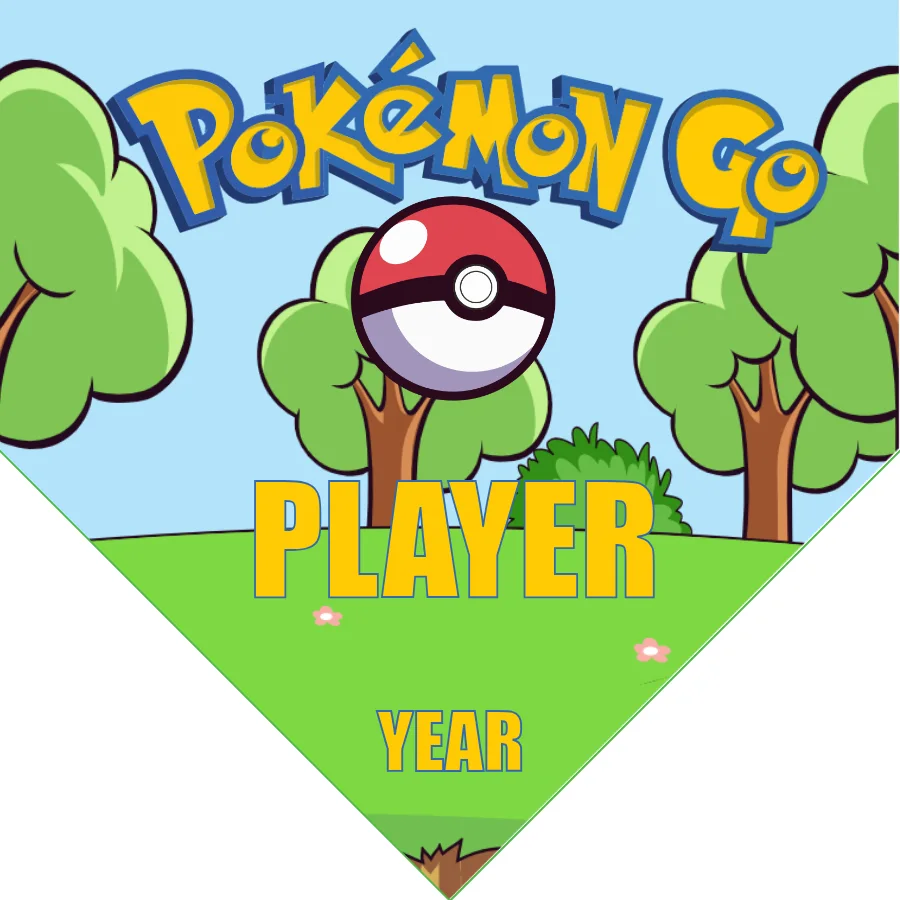 Pokemon Go Soccer Banner-soccer-banners-for-sale-picture