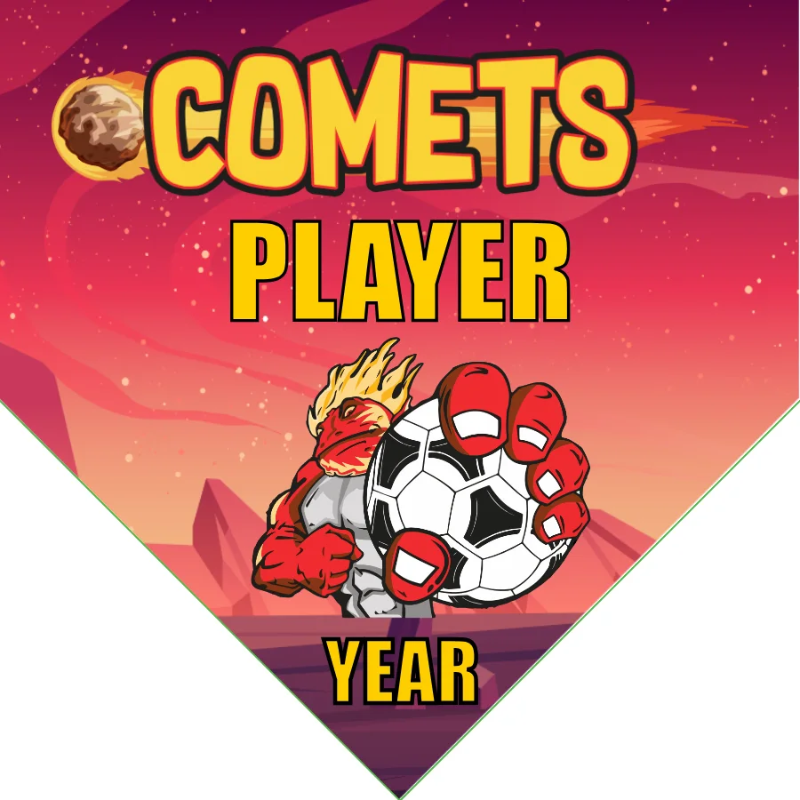 Comets Soccer Banner-soccer-banner-flags-picture