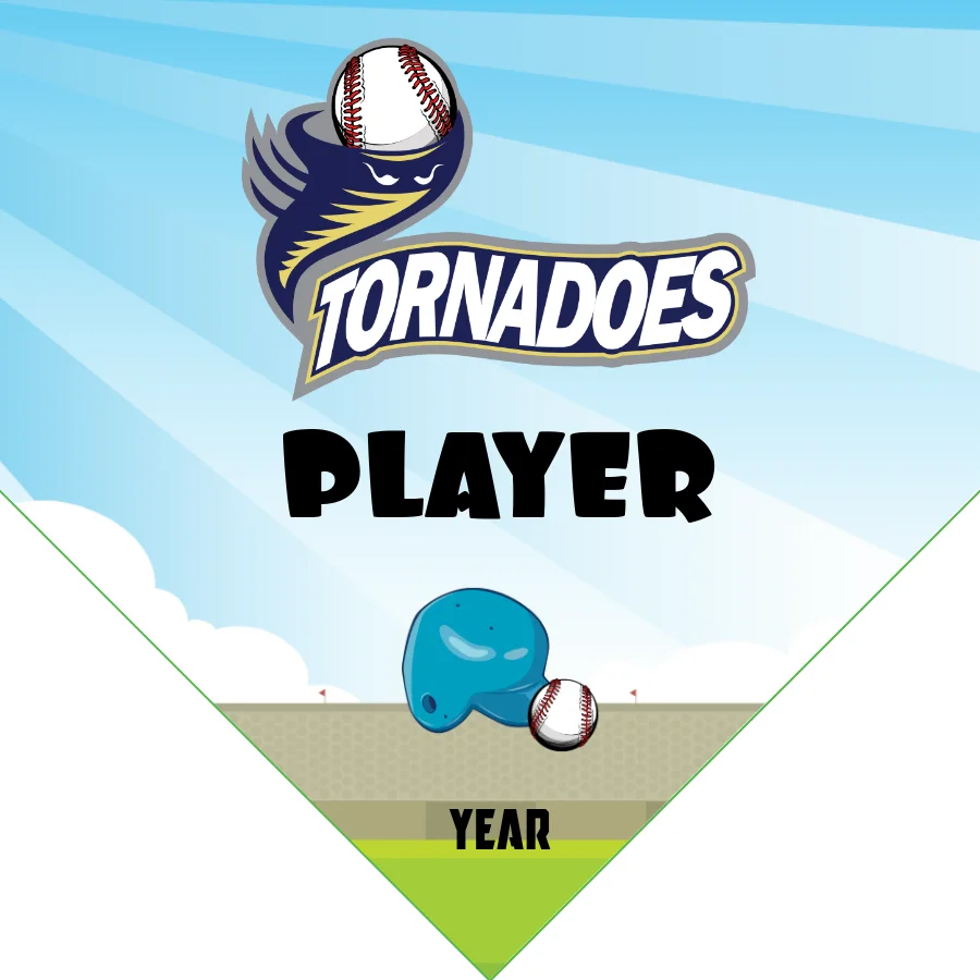 Tornadoes 1 Softball Banner-softball-parade-banner-ideas-picture