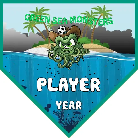 Green sea monsters Soccer Banner-soccer-banner-stakes-picture