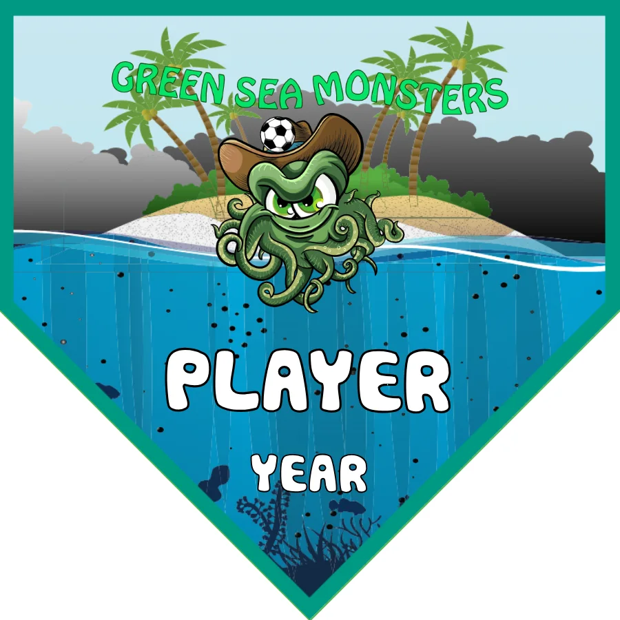 Green sea monsters Soccer Banner-soccer-banner-stakes-picture